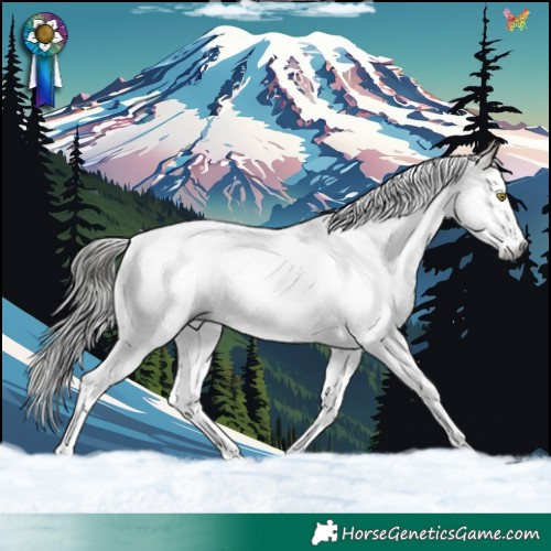 Horse Color:Gray Bay Roan Splash Tobiano Rabicano 