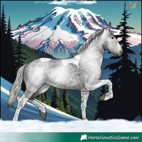 Horse Color:Gray Silver Brown Roan Splash Tobiano Rabicano 