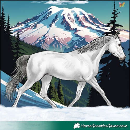 Horse Color:Gray Brown Roan Splash Frame Appaloosa Rabicano 