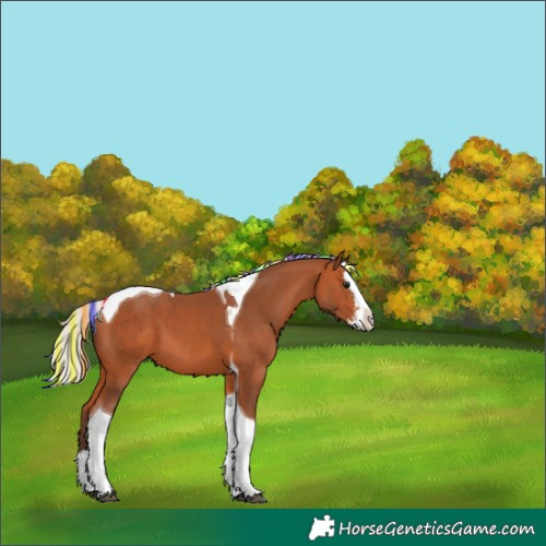 Horse Color:Painted Silver Bay Sabino Splash Tobiano 