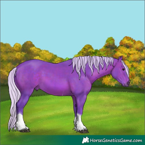 Horse Color:Watercolor Silver Brown Sabino Tobiano 