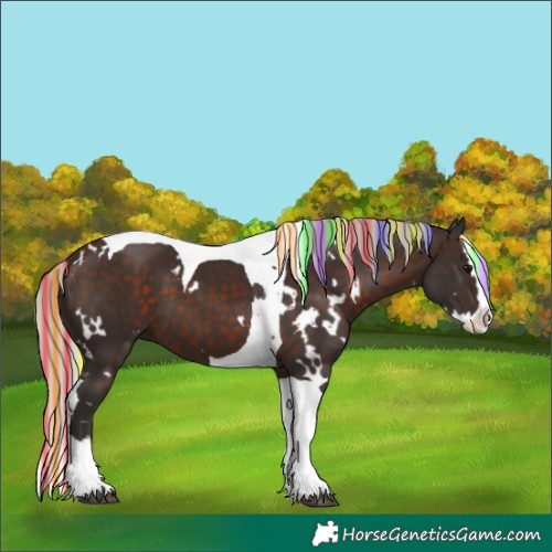Horse Color:Painted White Spotted Silver Brown Splash Tobiano 