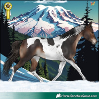Horse Color:Brown Tobiano 