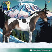 Horse Color:Brown Tobiano 