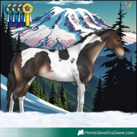 Horse Color:Brown Tobiano 