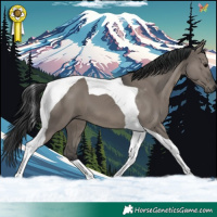 Horse Color:Grullo Tobiano 