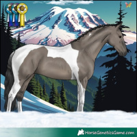 Horse Color:Grullo Tobiano 