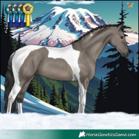 Horse Color:Grullo Tobiano