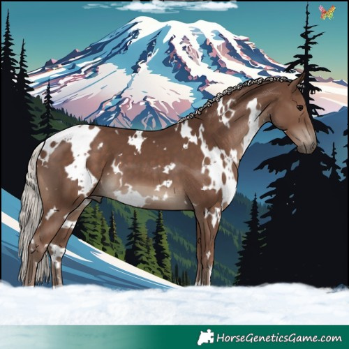 Horse Color:White Spotted Silver Black 