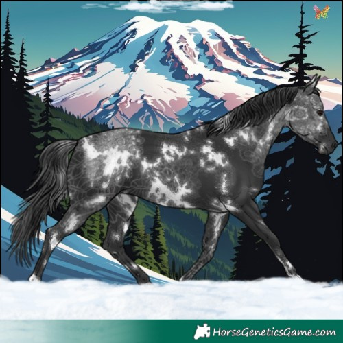 Horse Color:Platinum White Spotted Black 