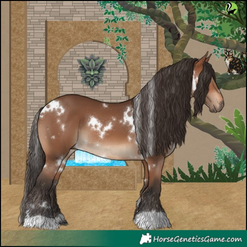 Horse Color:White Spotted Bay 