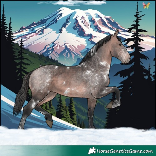 Horse Color:Platinum White Spotted Bay 