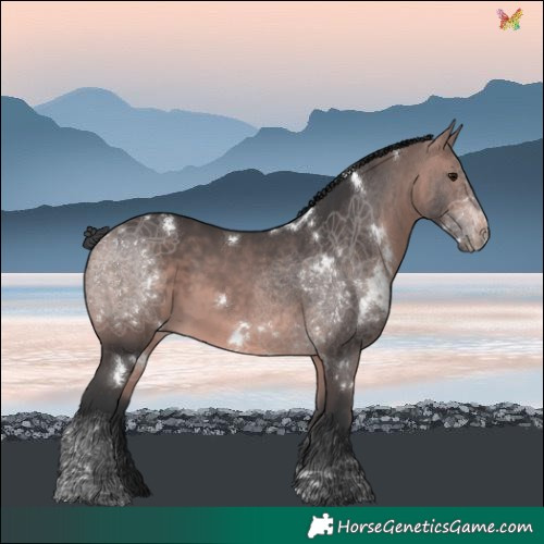 Horse Color:Platinum White Spotted Bay 