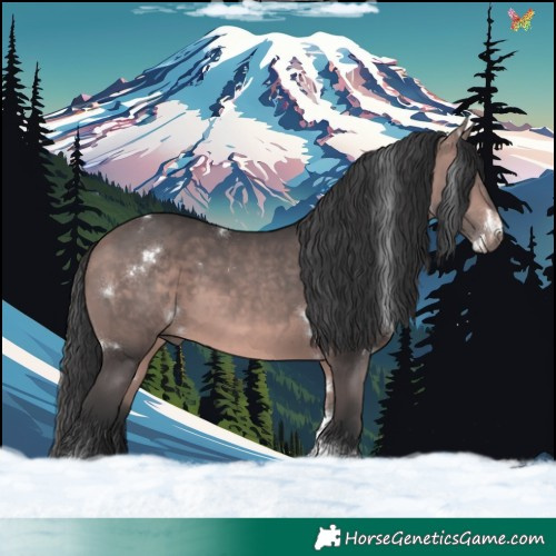 Horse Color:Platinum White Spotted Bay Tobiano 