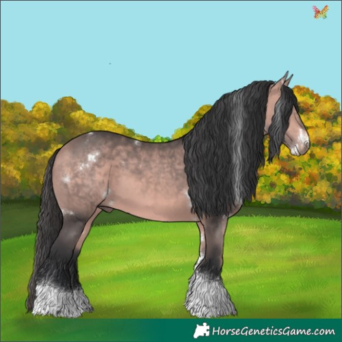 Horse Color:Platinum White Spotted Bay Tobiano 