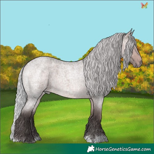 Horse Color:Platinum Silver Brown Roan 