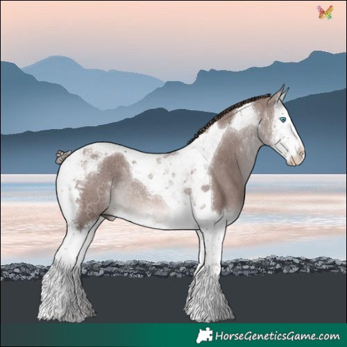 Horse Color:Platinum Chestnut Splash Tobiano Rabicano 