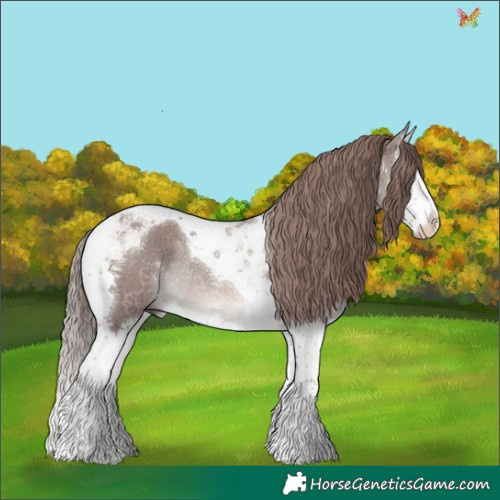 Horse Color:Platinum Chestnut Splash Tobiano Rabicano 