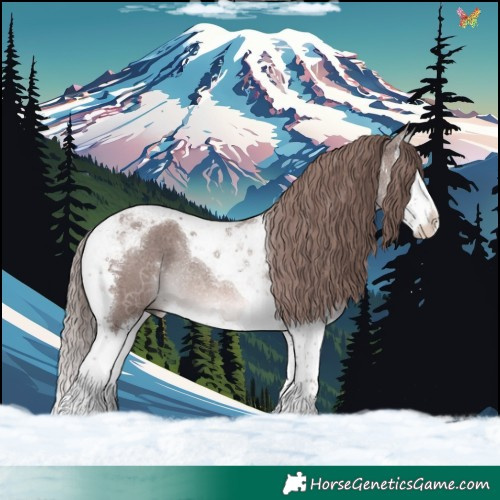 Horse Color:Platinum Chestnut Splash Tobiano Rabicano 