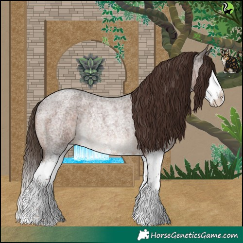 Horse Color:Liver Red Roan Sabino Splash Rabicano 