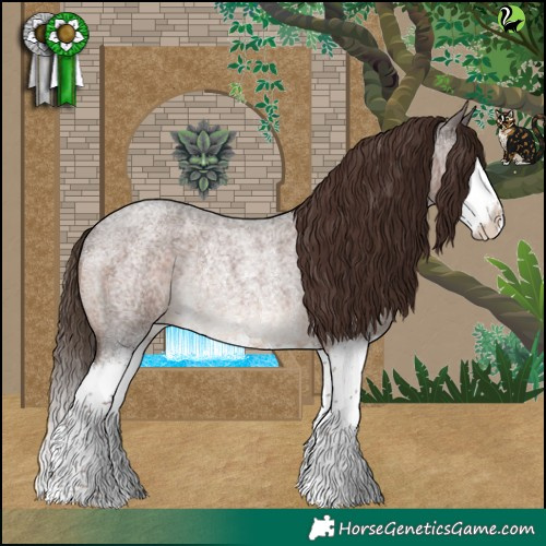 Horse Color:Liver Red Roan Sabino Splash Rabicano 