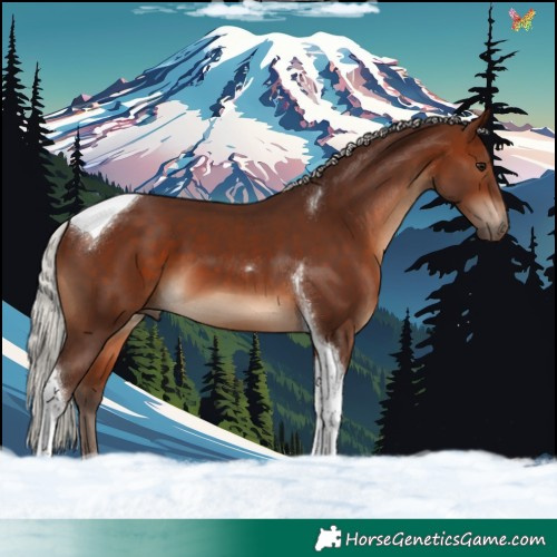 Horse Color:Silver Brown Tobiano 