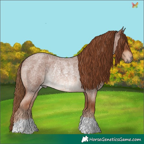 Horse Color:Red Roan Rabicano 
