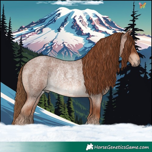 Horse Color:Red Roan Rabicano 