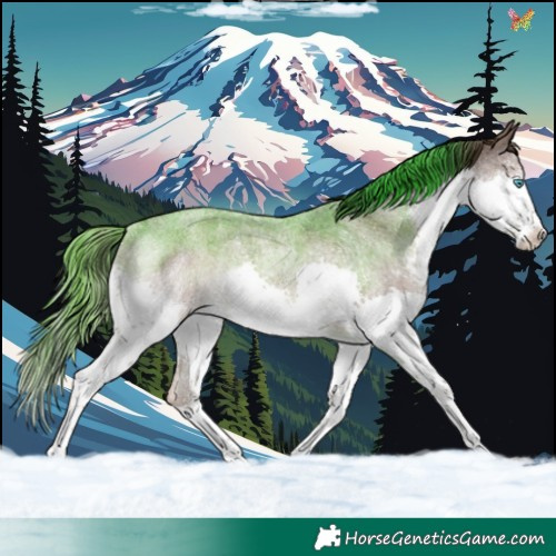 Horse Color:Liver Red Roan Splash Rabicano 