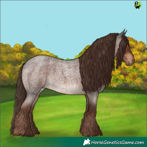 Horse Color:Liver Red Roan Rabicano 