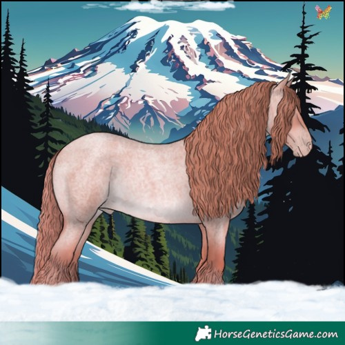 Horse Color:Gold Champagne Roan Rabicano 