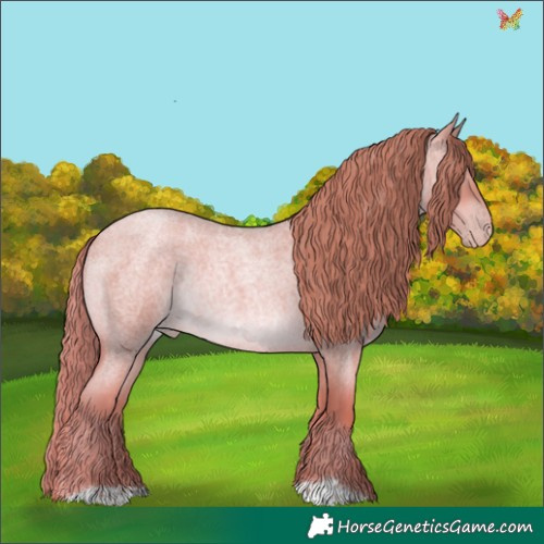 Horse Color:Gold Champagne Roan Rabicano 
