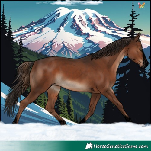 Horse Color:Void Liver Chestnut Splash Tobiano Rabicano 