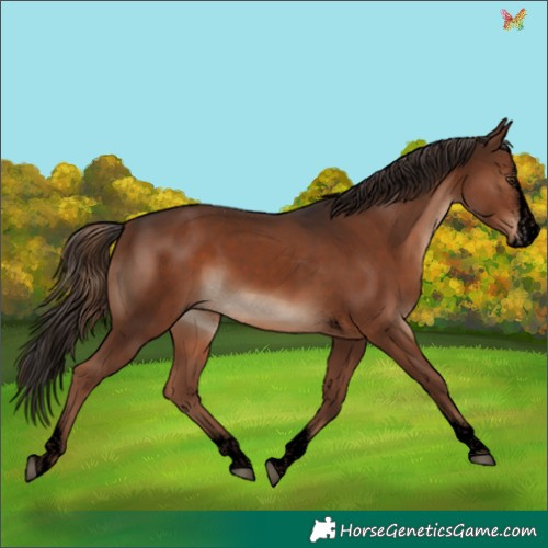 Horse Color:Void Liver Chestnut Splash Tobiano Rabicano 