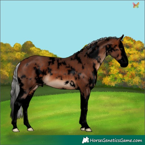 Horse Color:Void White Spotted Silver Brown Splash 