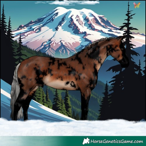 Horse Color:Void White Spotted Silver Brown Splash 