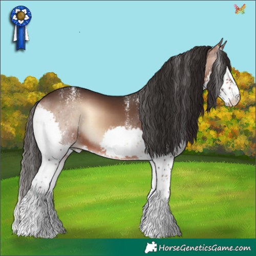Horse Color:Powder White Brown Onyx Splash 