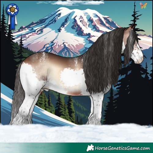 Horse Color:Powder White Brown Onyx Splash 