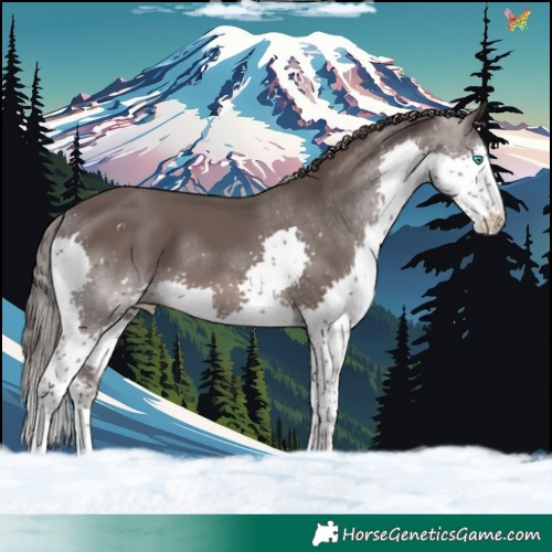 Horse Color:Platinum Liver Chestnut Sabino Splash Tobiano 