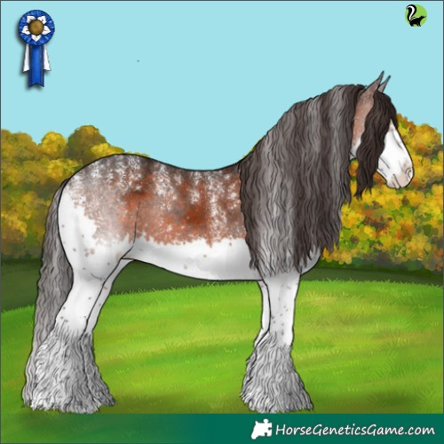 Horse Color:Powder White Brown Splash Appaloosa