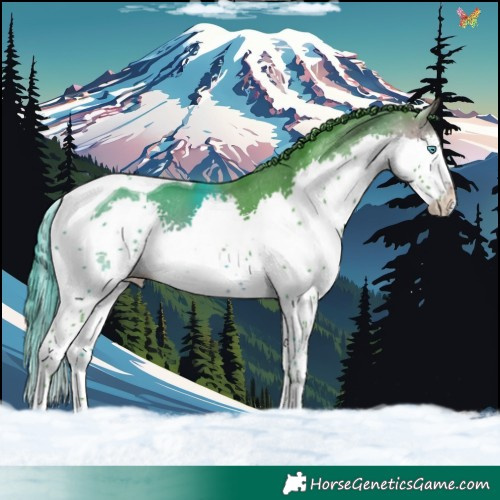Horse Color:Watercolor Brown Splash Tobiano 