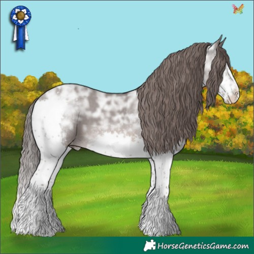 Horse Color:Platinum Liver Chestnut Ice Splash Tobiano Appaloosa 