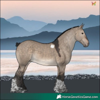Horse Color:Brown Dun Tobiano