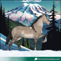 Horse Color:Brown Dun Tobiano 