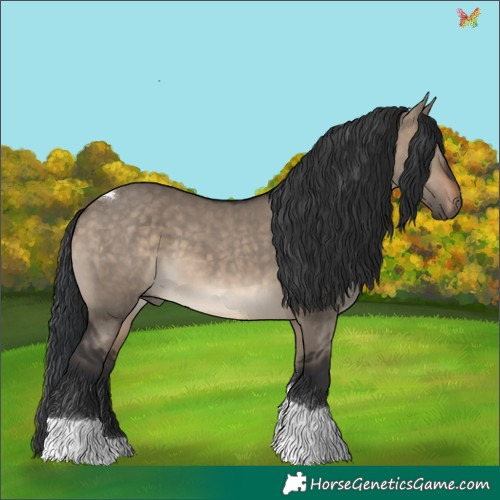 Horse Color:Brown Dun Tobiano 