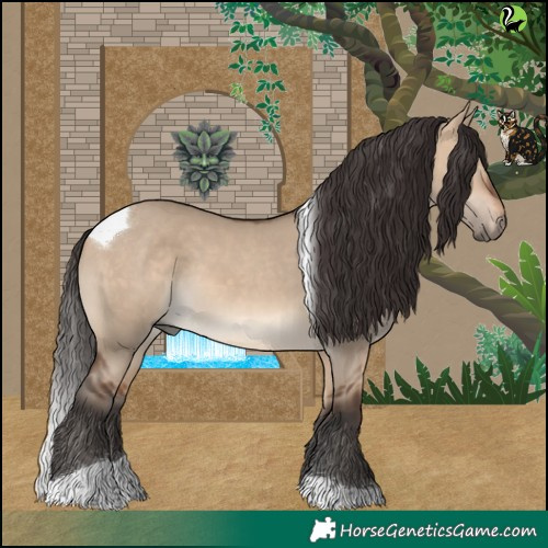 Horse Color:Bay Dun Tobiano 