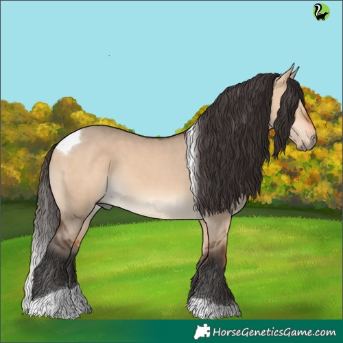 Horse Color:Bay Dun Tobiano 