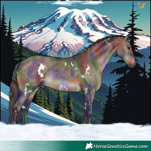 Horse Color:Nacre White Spotted Brown Dun Tobiano 