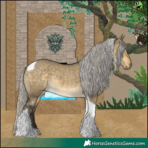 Horse Color:Silver Buckskin Dun Tobiano 
