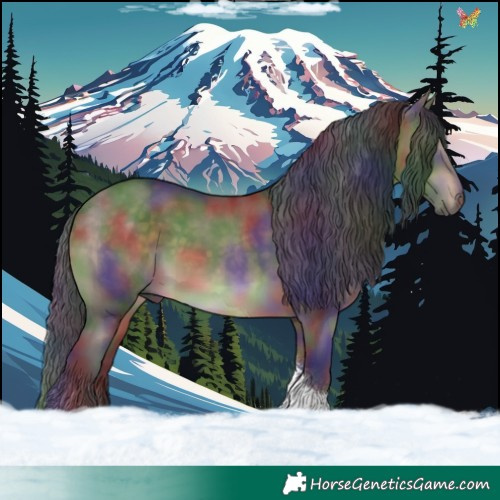 Horse Color:Nacre Brown Dun Tobiano 
